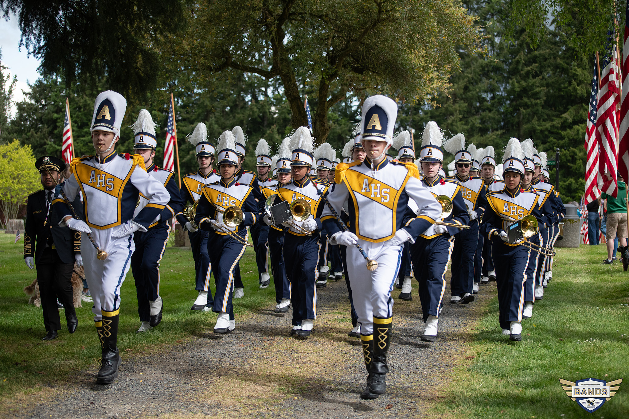 Band performance background